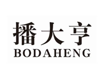 播大亨BODAHENG