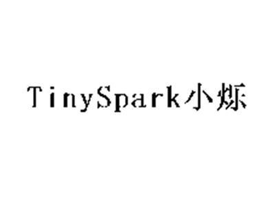 TINYSPARK小烁