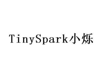 TINYSPARK小烁