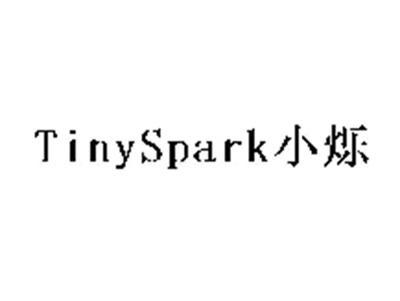 TINYSPARK小烁