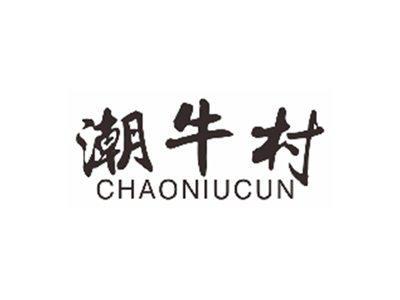 潮牛村chaoniucun