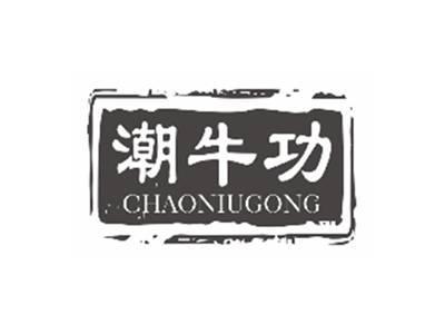 潮牛功CHAONIUGONG
