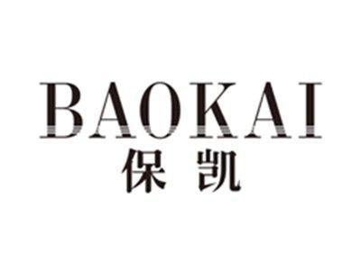 保凯baokai