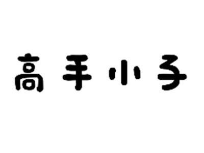 高手小子