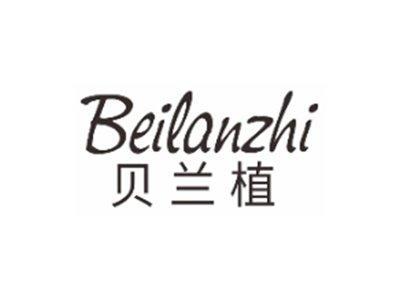 贝兰植beilanzhi