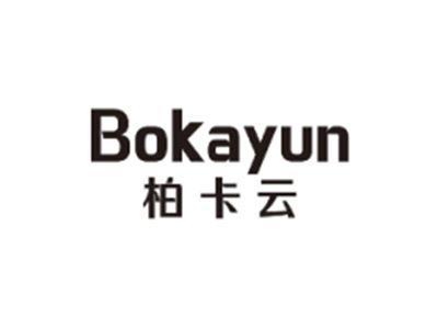 柏卡云BAIKAYUN