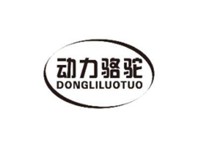 动力骆驼DONGLILUOTUO