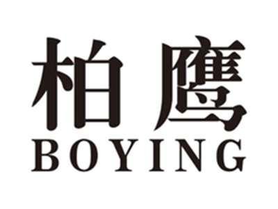 柏鹰boying