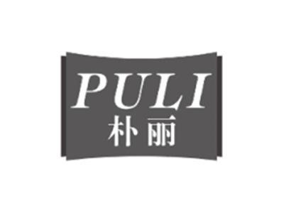 朴丽PULI