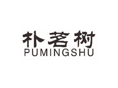 朴茗树PUMINGSHU