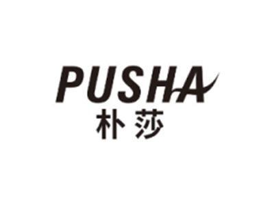 朴莎PUSHA