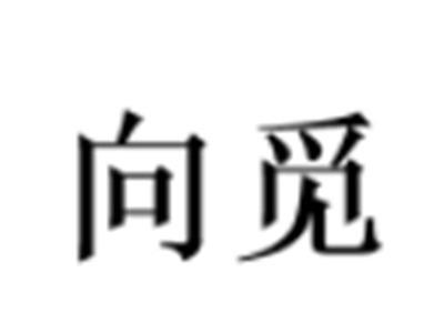 向觅