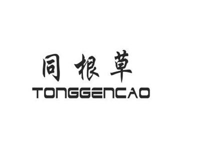 同根草tonggencao