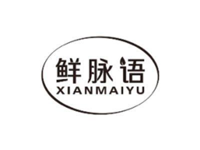鲜脉语XIANMAIYU
