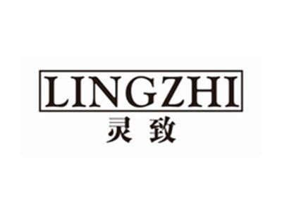 灵致LINGZHI