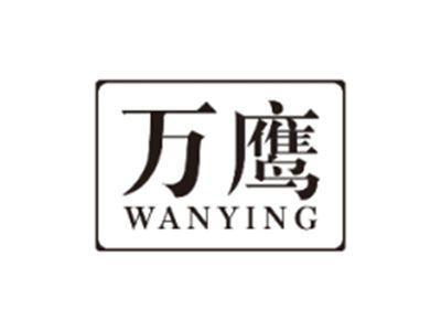 万鹰WANYING