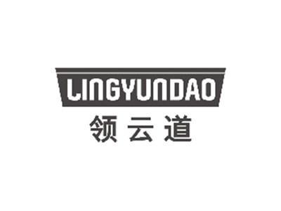 领云道LINGYUNDAO