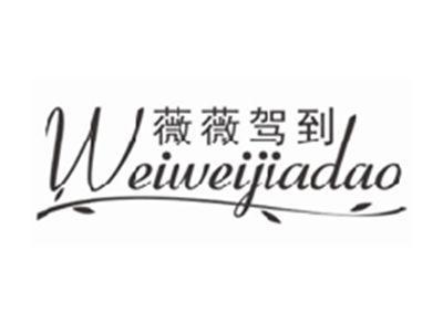 薇薇驾到weiweijiadao