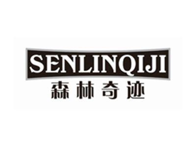 森林奇迹SENLINQIJI
