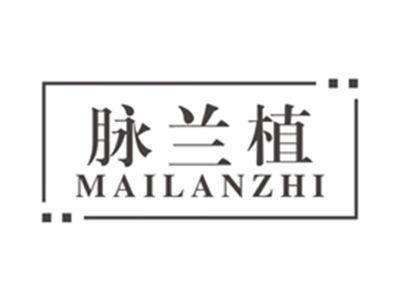 脉兰植mailanzhi