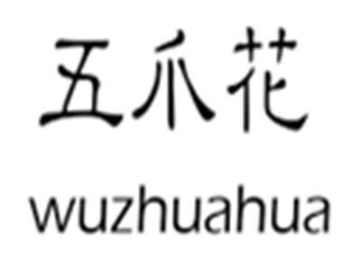 五爪花