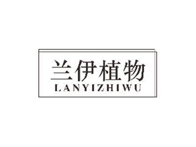 兰伊植物LANYIZHIWU