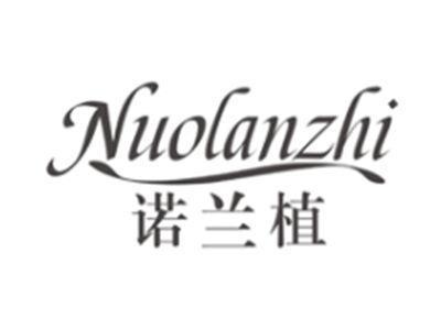 诺兰植nuolanzhi
