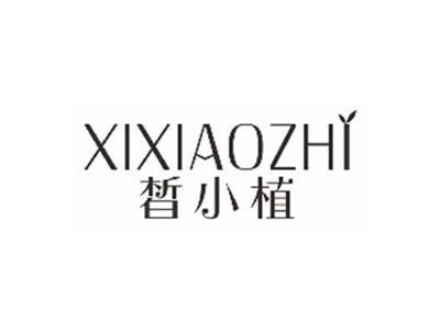 皙小植XIXIAOZHI