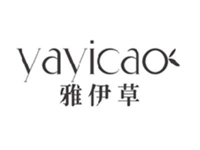 雅伊草YAYICAO