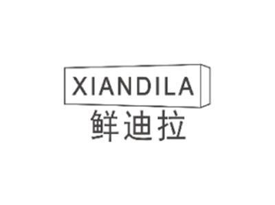 鲜迪拉XIANDILA