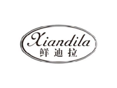 鲜迪拉XIANDILA