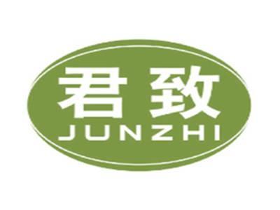君致JUNZHI