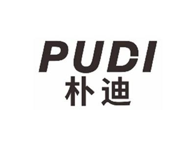 朴迪pudi