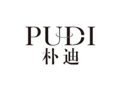 朴迪PUDI