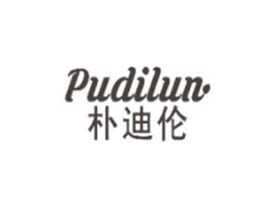 朴迪伦PUDILUN