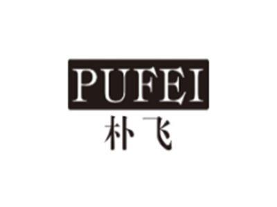 朴飞PUFEI
