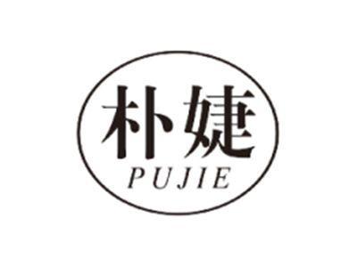 朴婕PUJIE