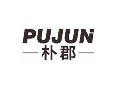 朴郡PUJUN