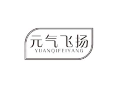 元气飞扬YUANQIFEIYANG