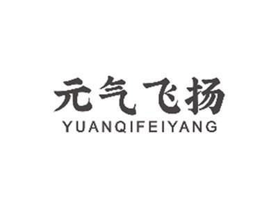 元气飞扬YUANQIFEIYANG
