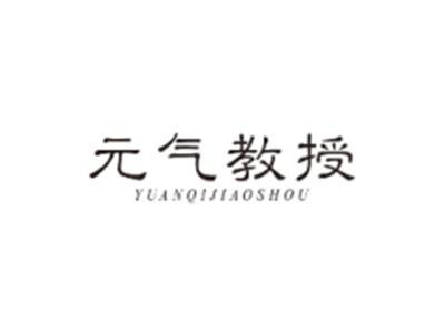 元气教授YUANQIJIAOSHOU