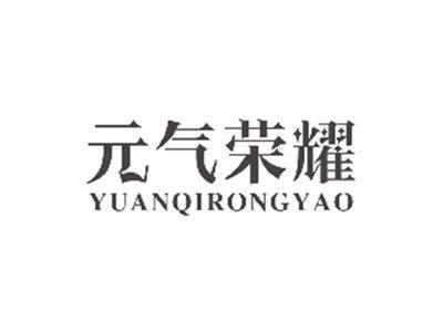 元气荣耀YUANQIRONGYAO