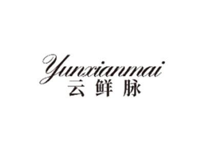 云鲜脉YUNXIANMAI