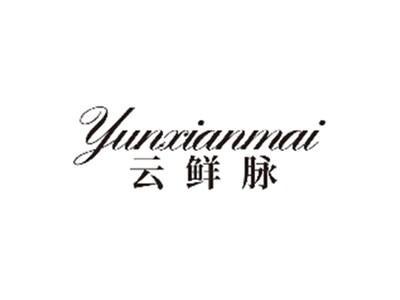 云鲜脉YUNXIANMAI