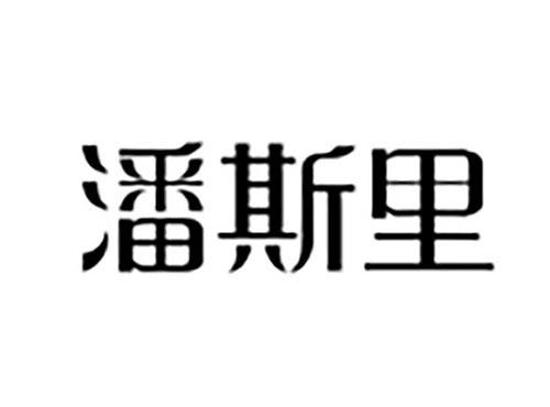 潘斯里