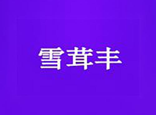 雪茸丰