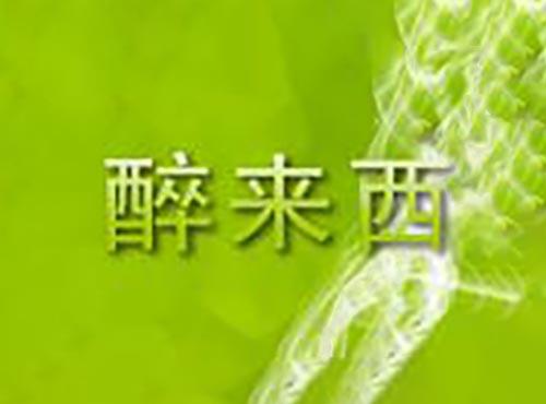 醉来西