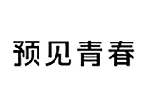 预见青春