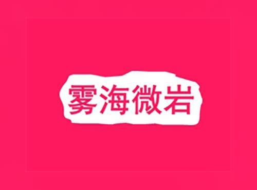 雾海微岩