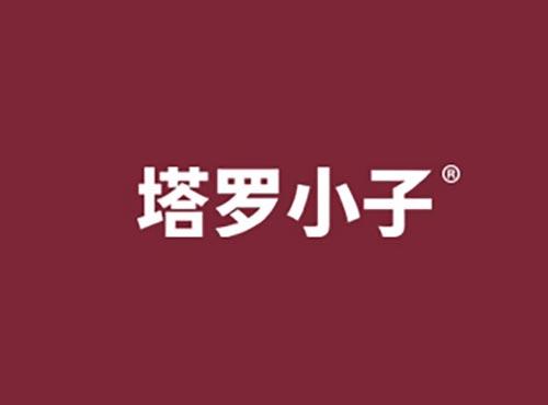 塔罗小子